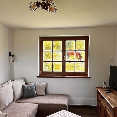 Pilisi Lovas Major, Dorog Bed & Breakfast Dış mekan fotoğraf
