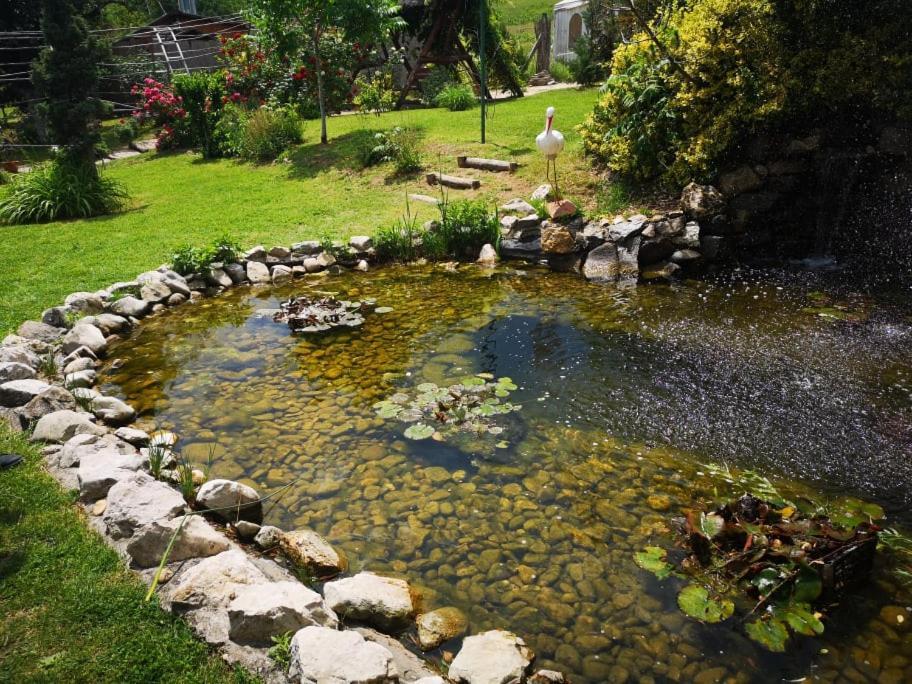 Pilisi Lovas Major, Dorog Bed & Breakfast Dış mekan fotoğraf
