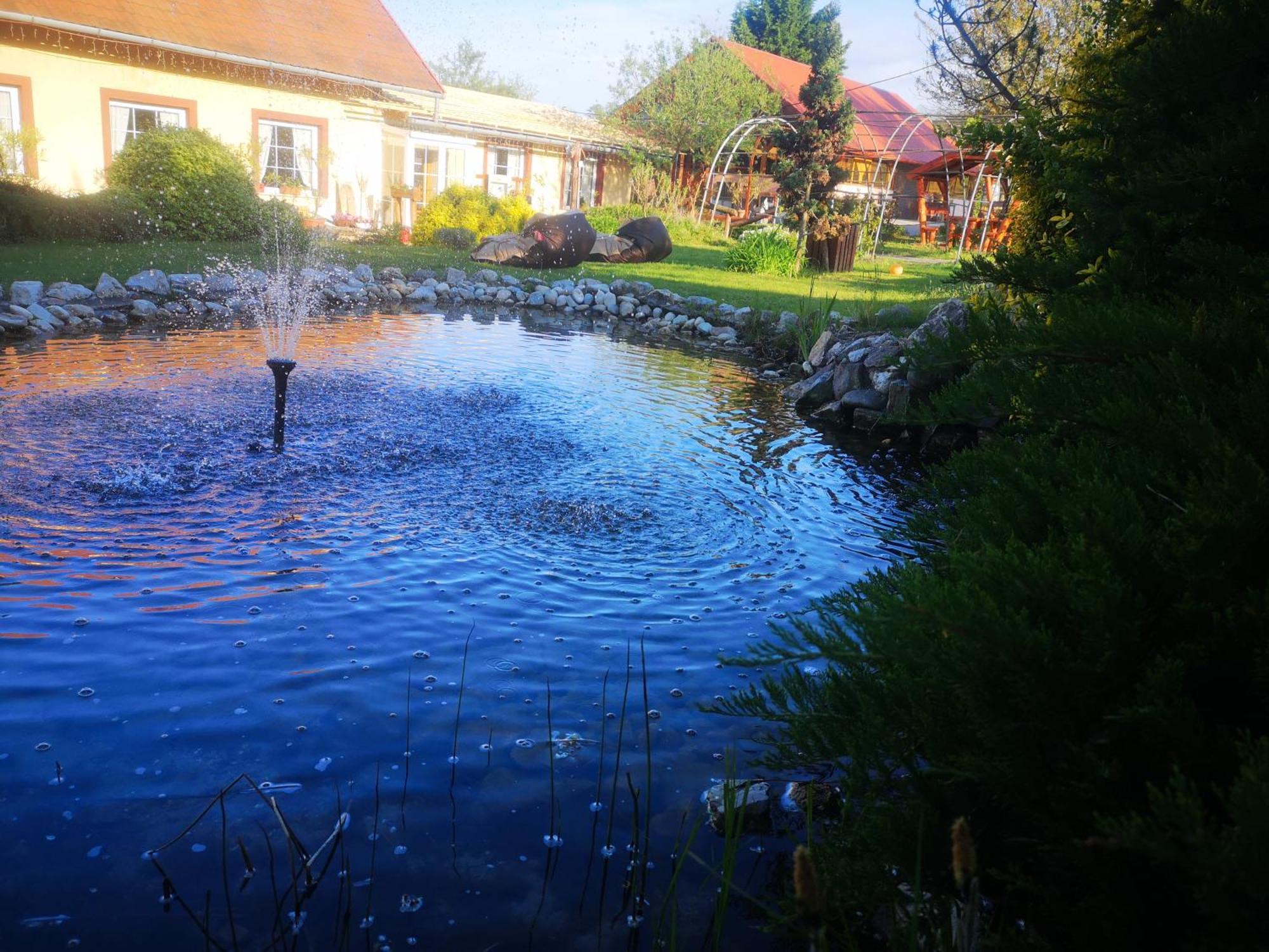Pilisi Lovas Major, Dorog Bed & Breakfast Dış mekan fotoğraf