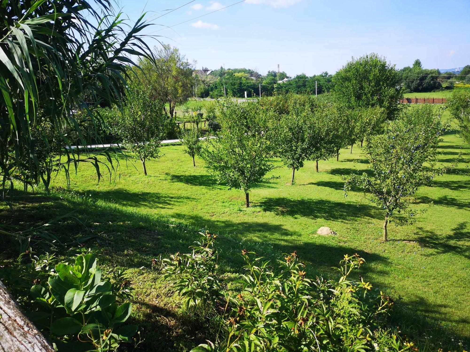 Pilisi Lovas Major, Dorog Bed & Breakfast Dış mekan fotoğraf