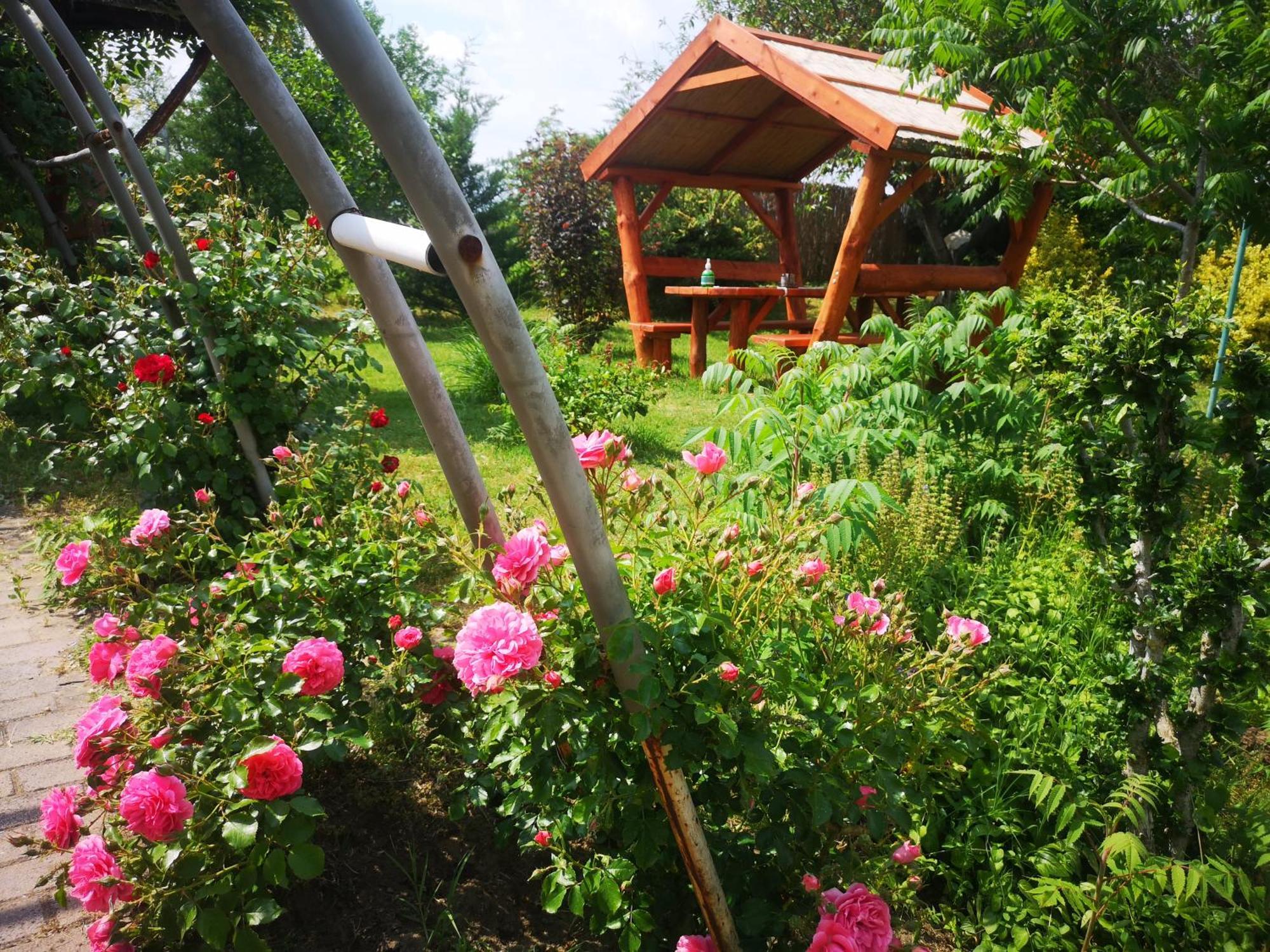 Pilisi Lovas Major, Dorog Bed & Breakfast Dış mekan fotoğraf